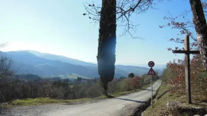 Chiusura al transito strada consortile di Frascole