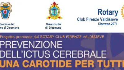 Prevenzione ictus cerebrale.png